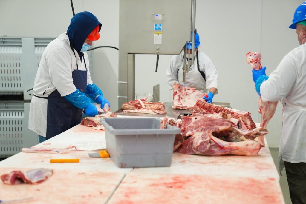 Skilled butchers processing raw meat in a factory, wearing protective clothing and equipment.